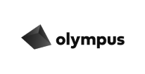 Olympus Assets